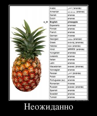 Прикрепленное изображение: neozhidanno.jpg